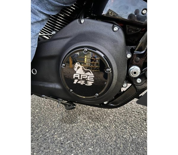 Build 116 - Low Rider ST 143 - D&D 3