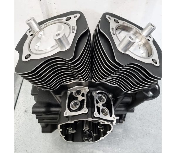 Build 116 - Low Rider ST 143 - D&D 8