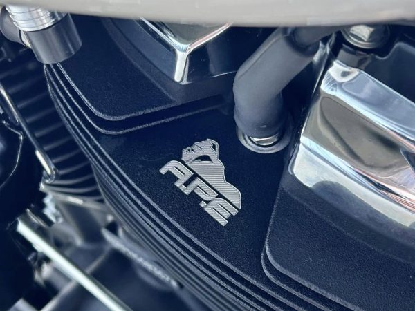 APE Stump Puller CR485 +1mm APE Heads SE HD Extreme S&S Sidewinder Exhaust Bike pic4